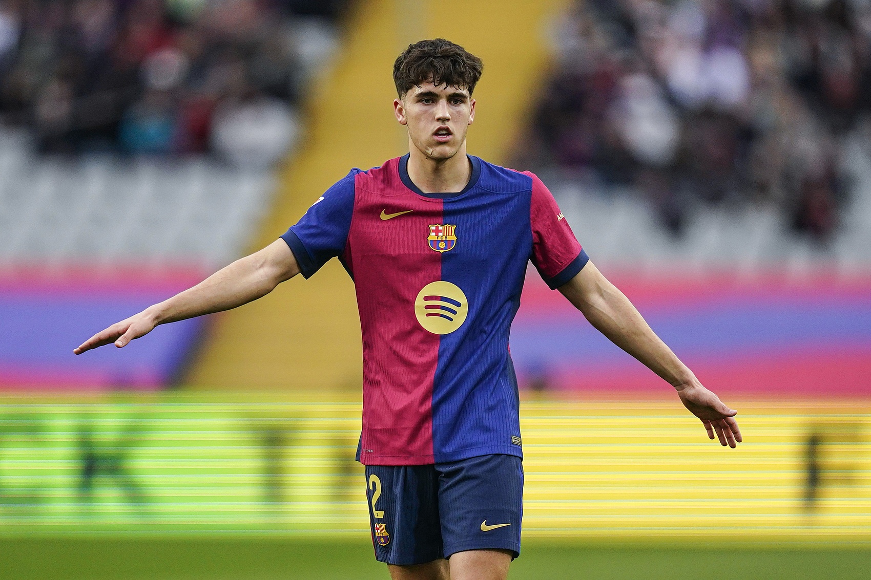 费尔南德斯 费尔南德斯