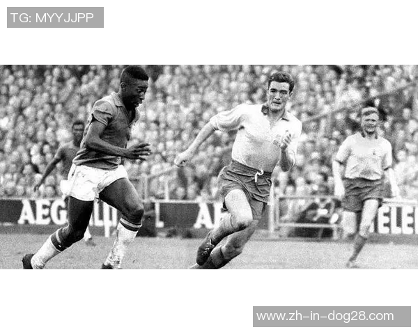 世界足球巨星全名大全盘点及历史影响力解析